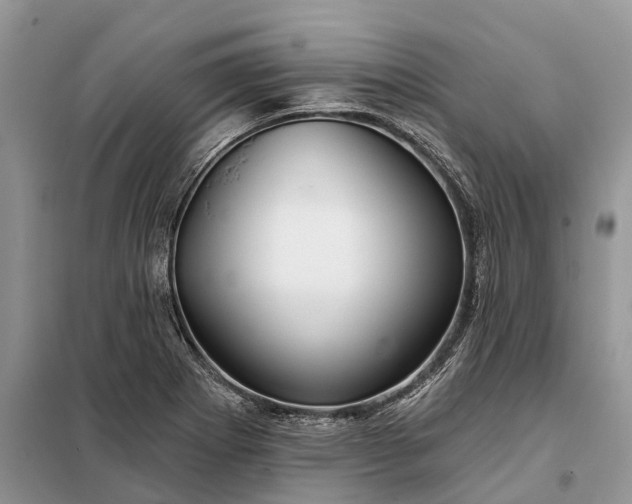 X0000097991273200804071141