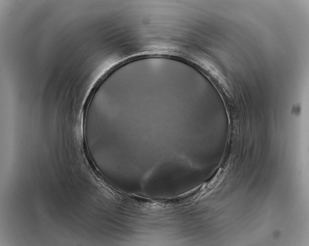 X0000097991275200804071141