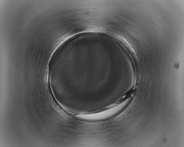 X0000097991276200804071141