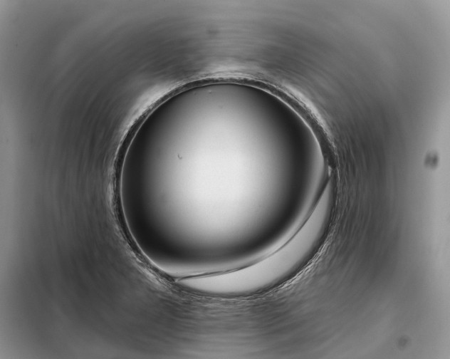 X0000097991277200804071141