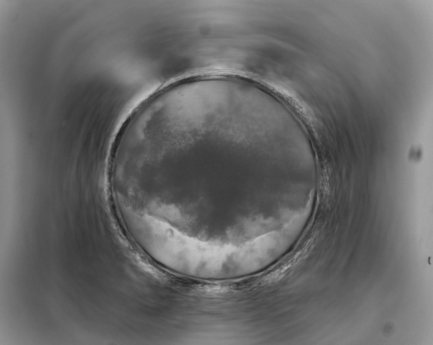X0000097991278200804071141