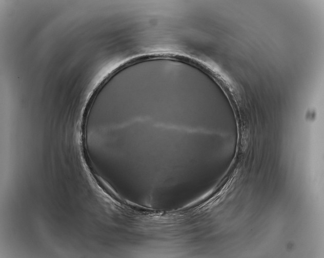 X0000097991279200804071141