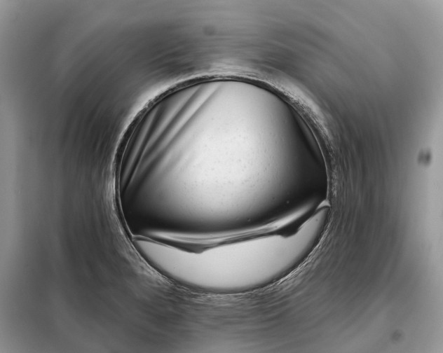 X0000097991280200804071141