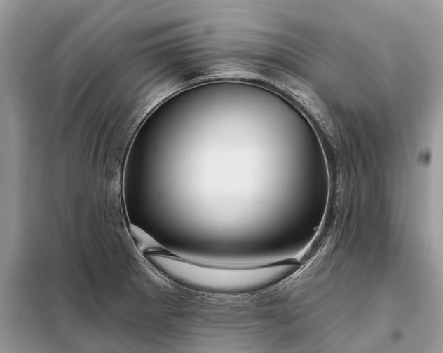 X0000097991281200804071141