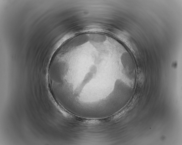 X0000097991282200804071141