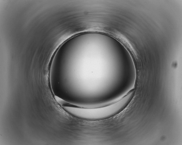 X0000097991284200804071141