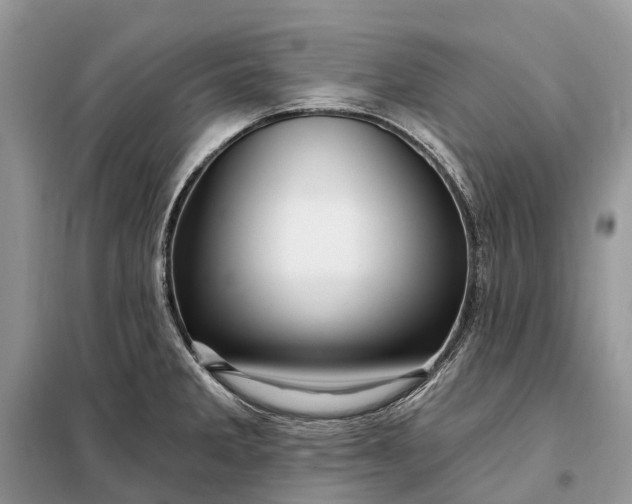 X0000097991285200804071141