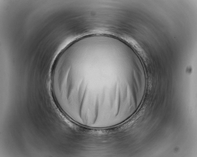 X0000097991286200804071141