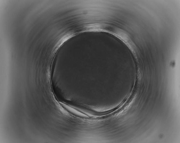 X0000097991289200804071141