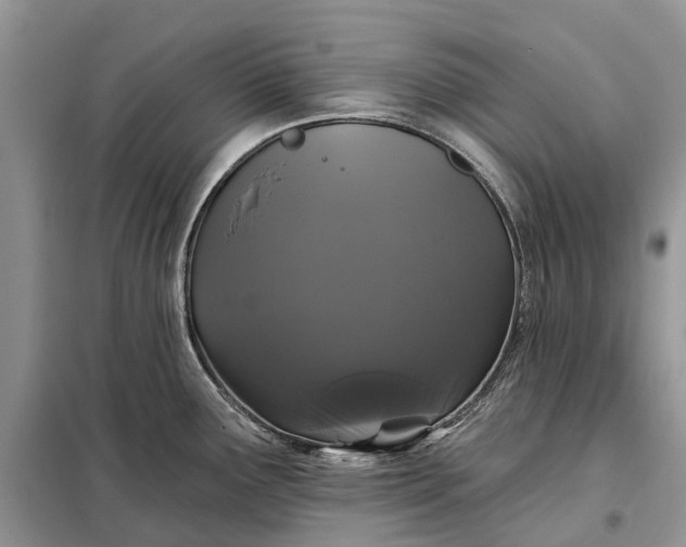 X0000097991291200804071141