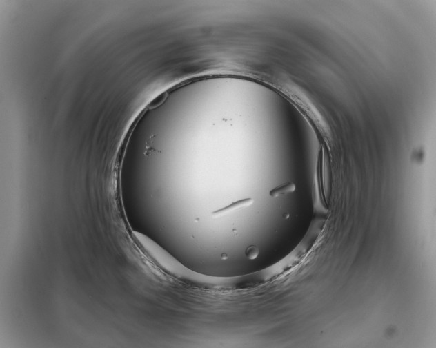 X0000097991292200804071141