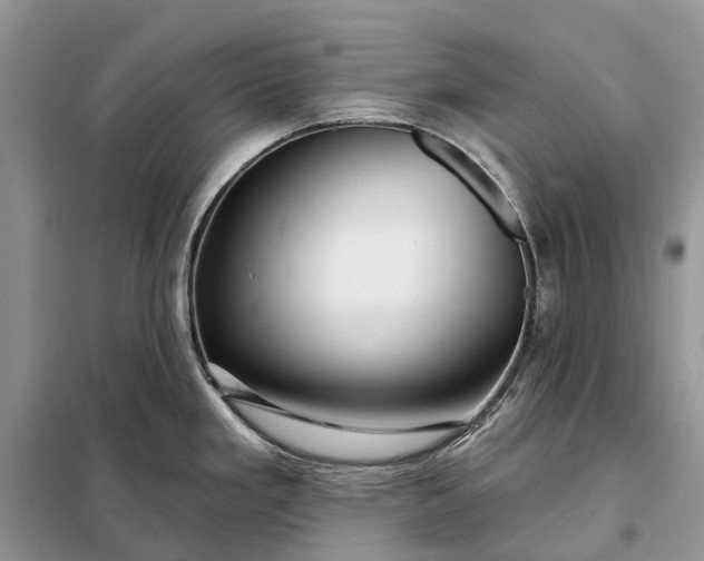 X0000097991293200804071141