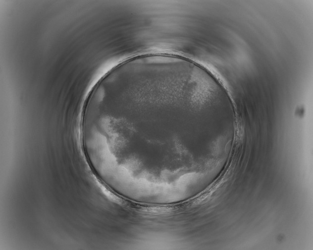 X0000097991294200804071141