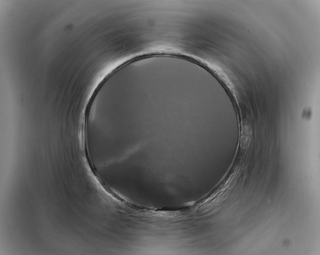 X0000097991295200804071141