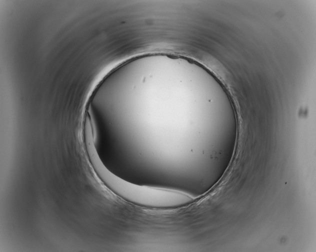 X0000097991296200804071141