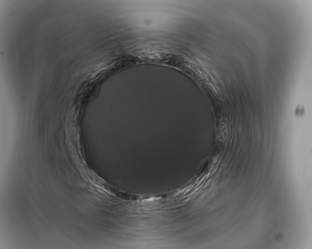 X0000097991297200804071140