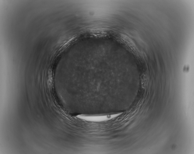 X0000097991298200804071140