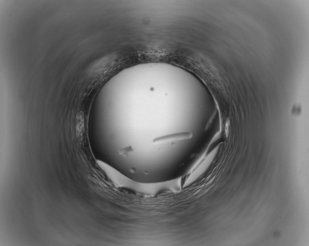 X0000097991299200804071140