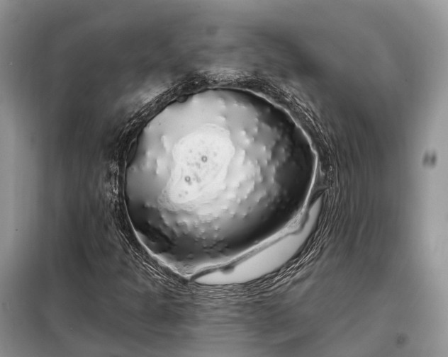 X0000097991301200804071141