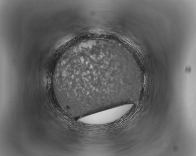 X0000097991302200804071141