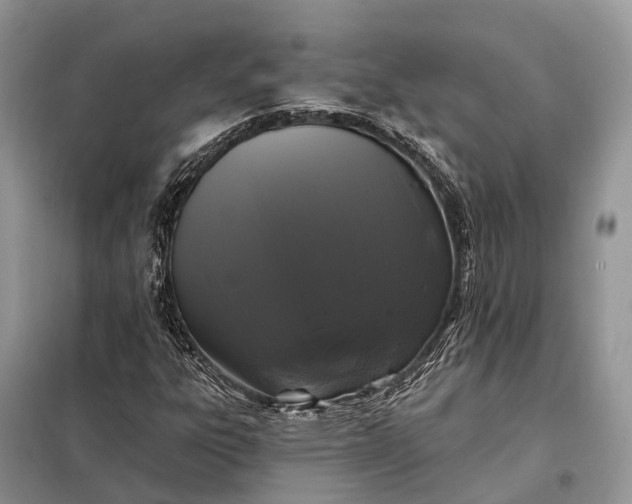X0000097991303200804071141