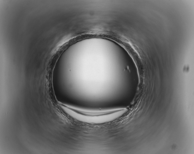 X0000097991304200804071141