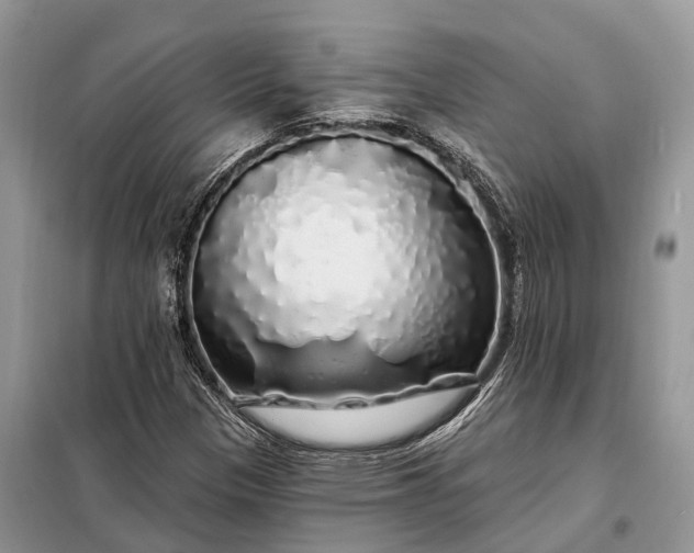 X0000097991305200804071141
