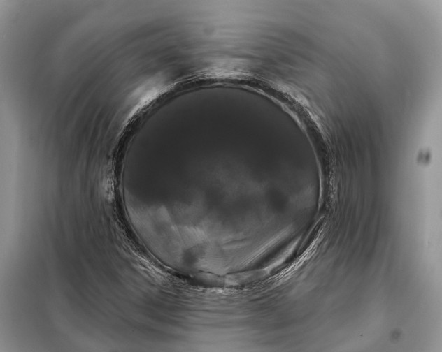 X0000097991306200804071141