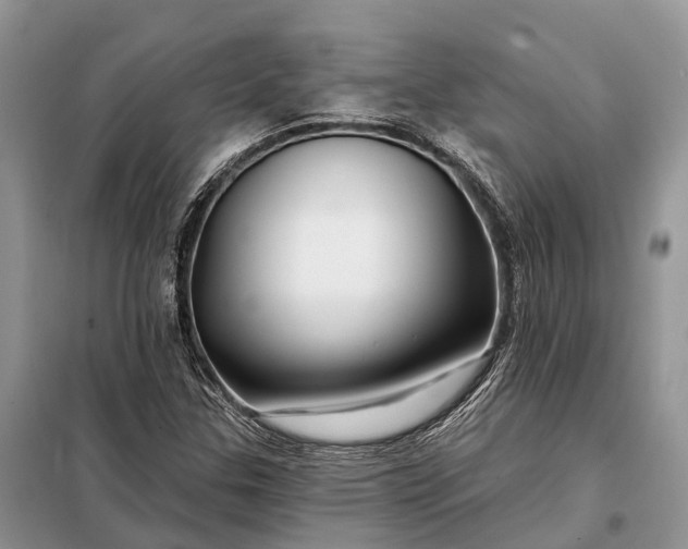 X0000097991307200804071141