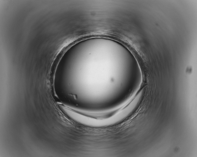X0000097991308200804071141
