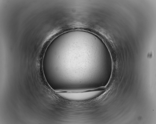X0000097991309200804071141