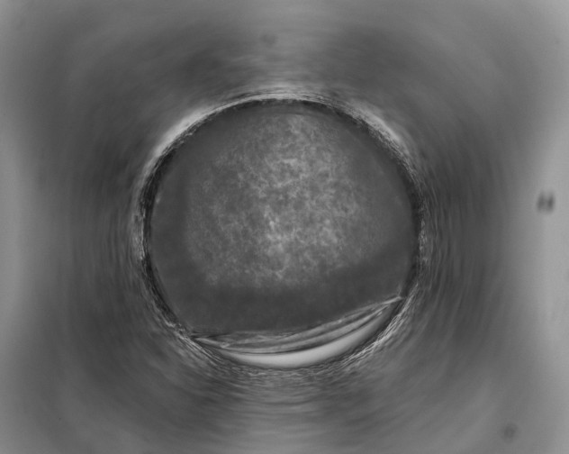 X0000097991310200804071141