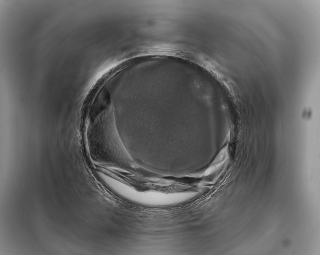 X0000097991312200804071141