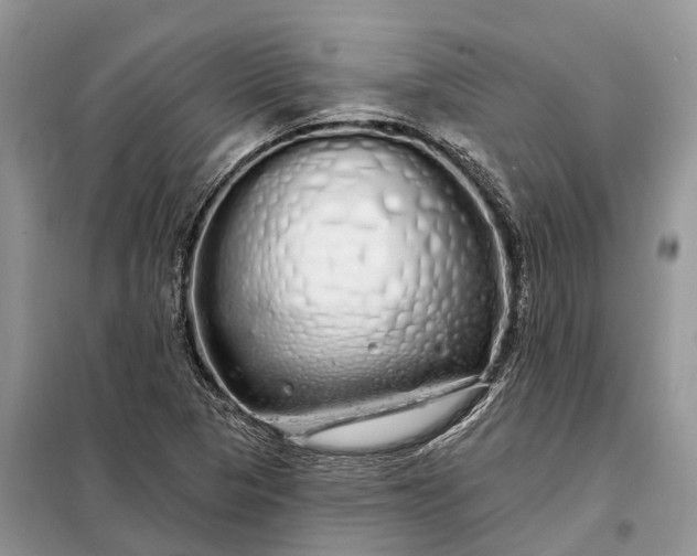 X0000097991313200804071141