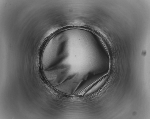 X0000097991315200804071141