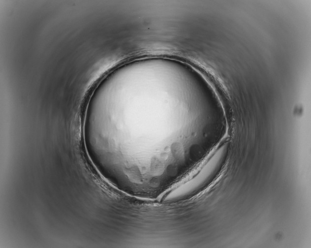 X0000097991317200804071141