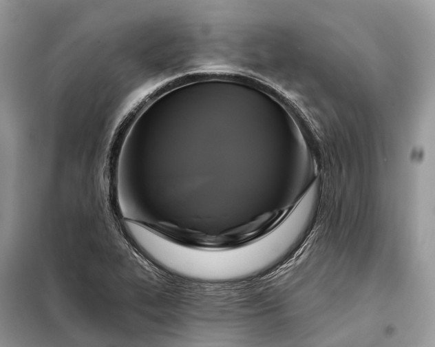 X0000097991319200804071141