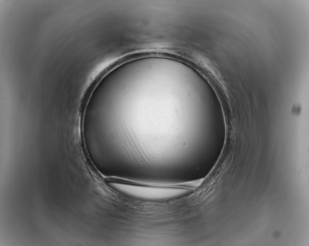 X0000097991320200804071141