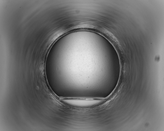 X0000097991321200804071141