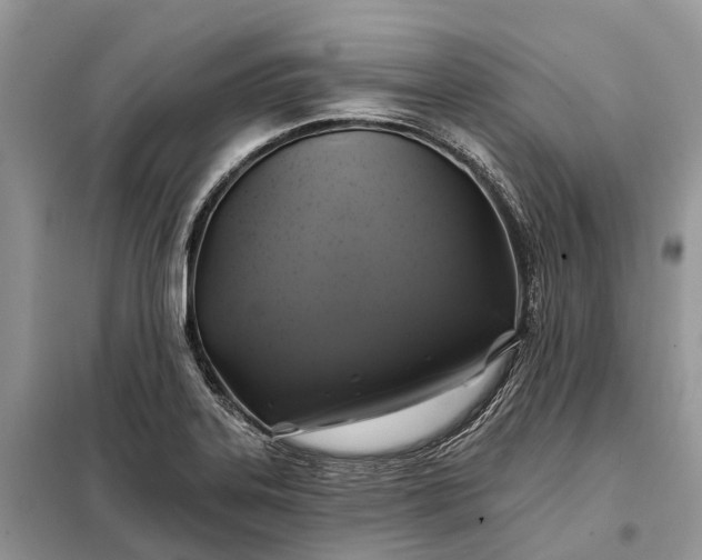 X0000097991323200804071141