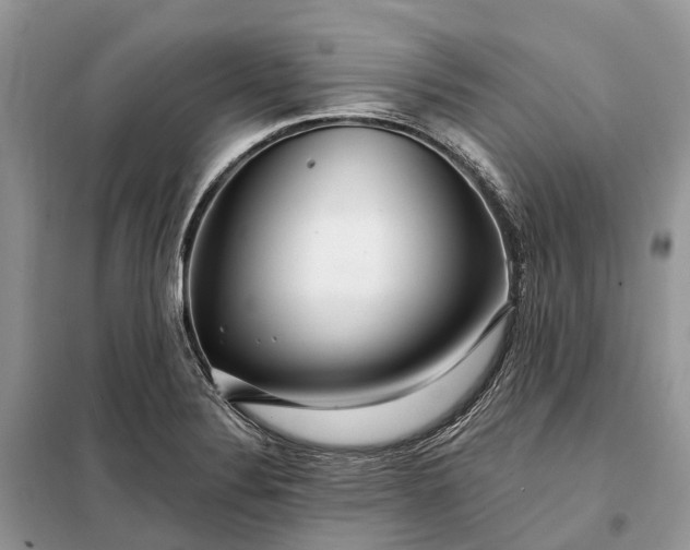 X0000097991324200804071141