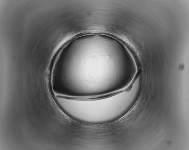 X0000097991325200804071141
