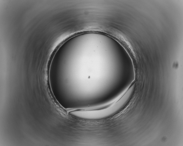 X0000097991328200804071141