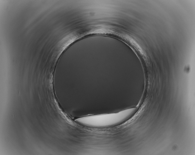 X0000097991329200804071141