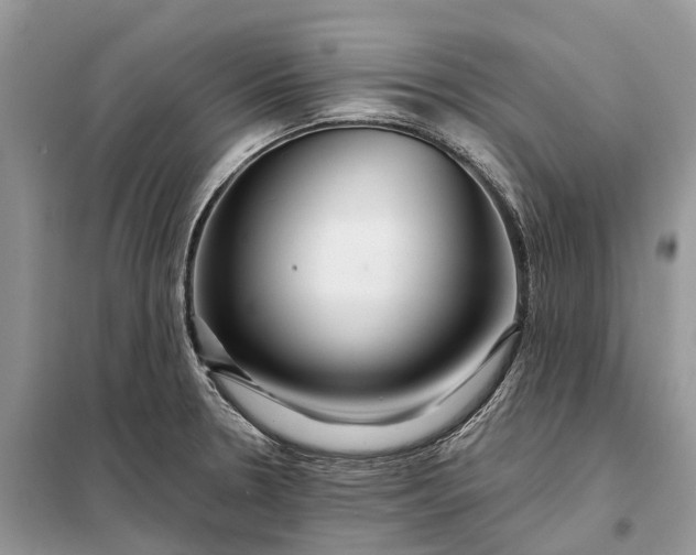 X0000097991330200804071141
