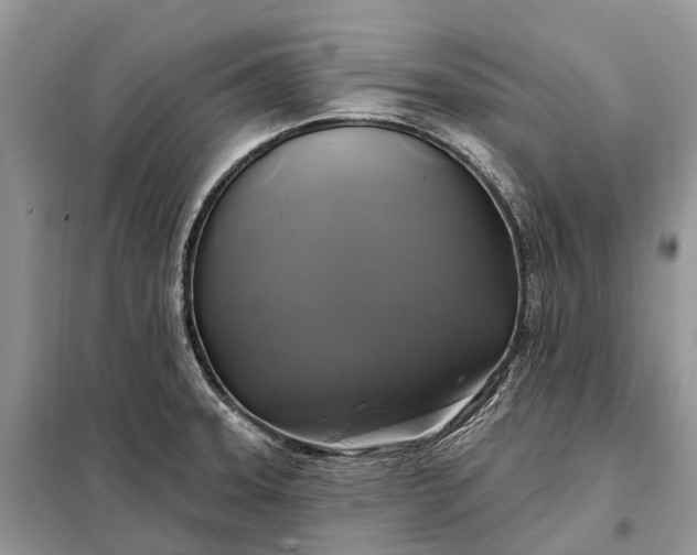 X0000097991331200804071141