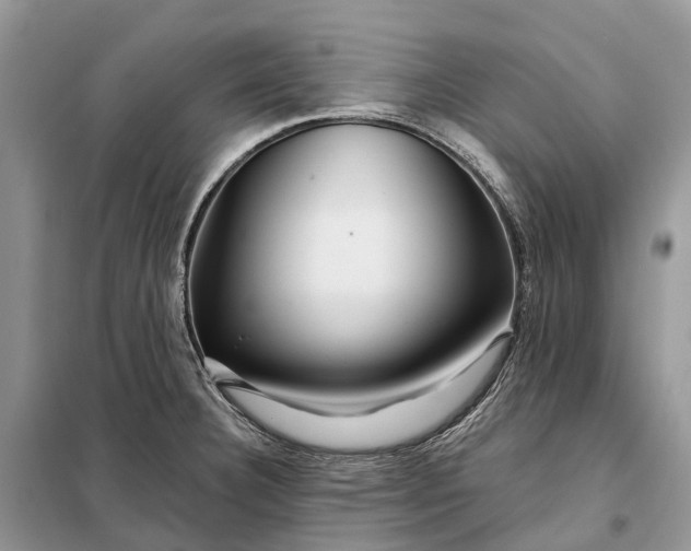X0000097991332200804071141