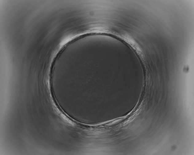 X0000097991334200804071141