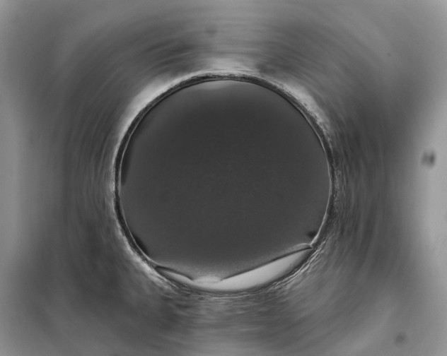 X0000097991335200804071141
