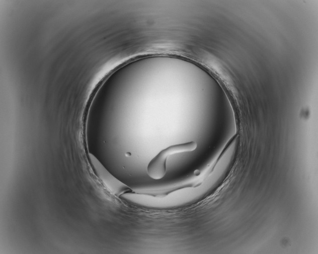 X0000097991336200804071141